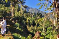 Trekking holidays in Colombia - World Expeditions ©G.Anderson